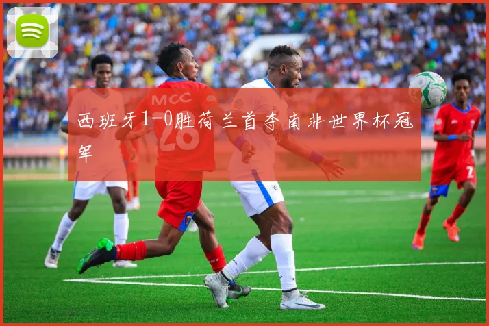 西班牙1-0胜荷兰首夺南非世界杯冠军